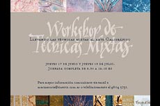 Workshop on mixed techniques